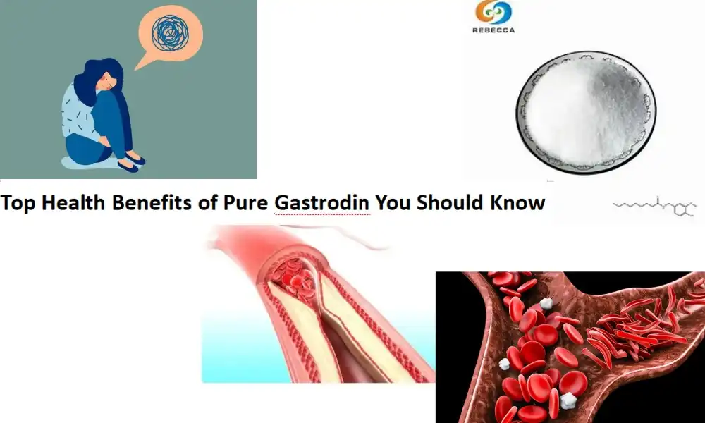 Top Health Benefits of Pure Gastrodin You Should Know